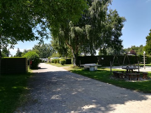 allée principale camping